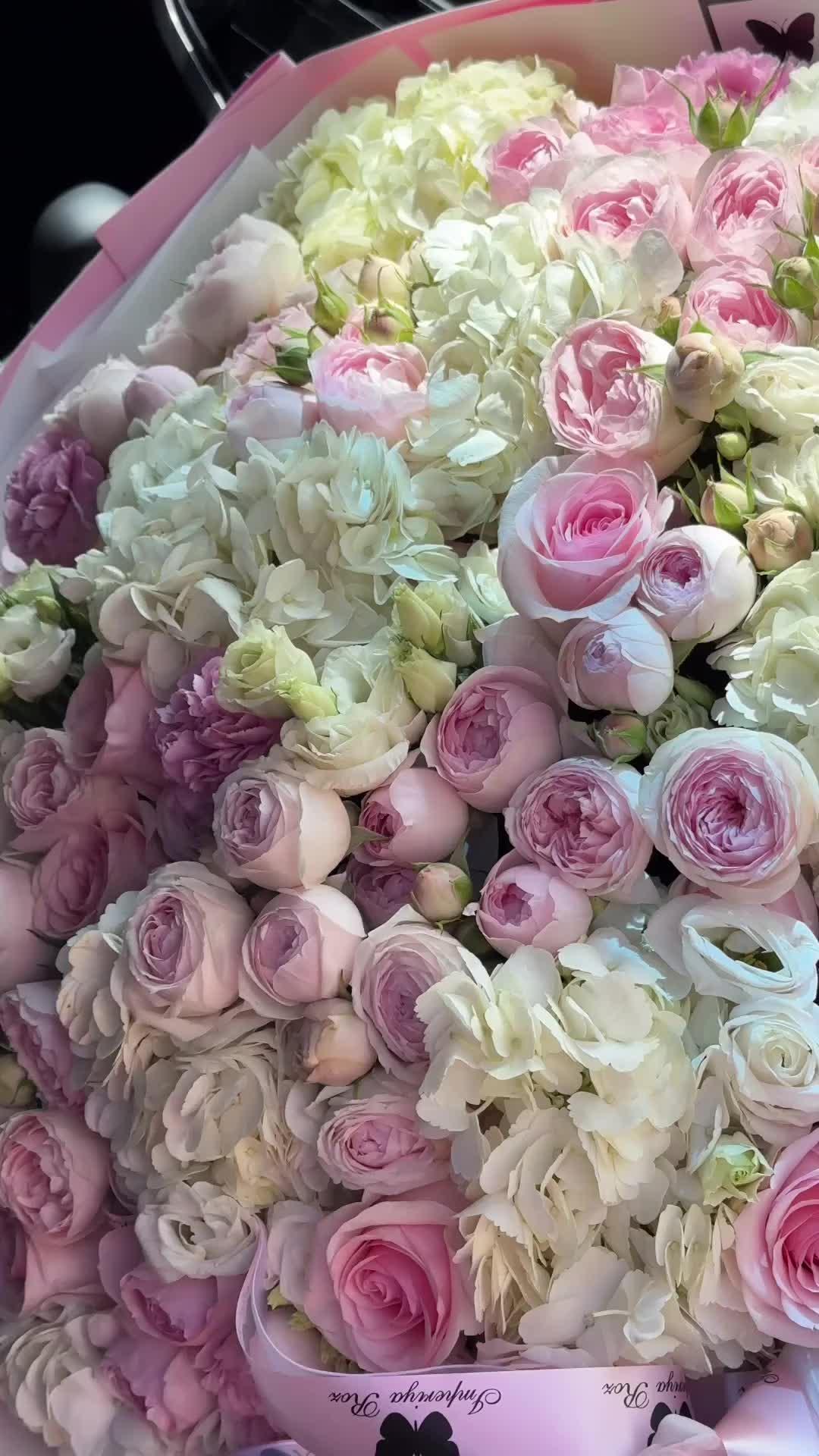 Velvet Petals Symphony Collection